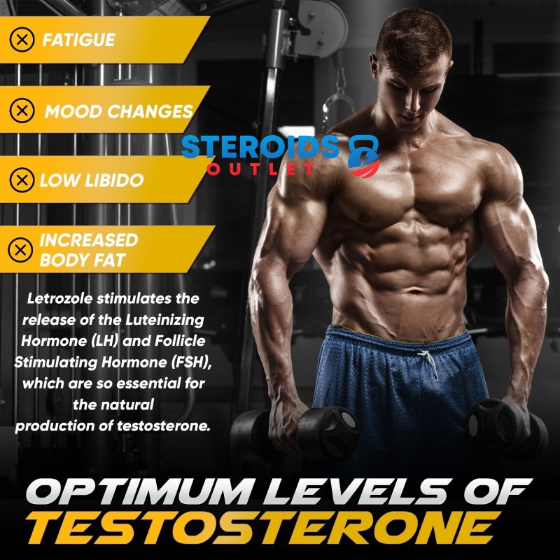 Compre Letrozol 9 Letrozol2