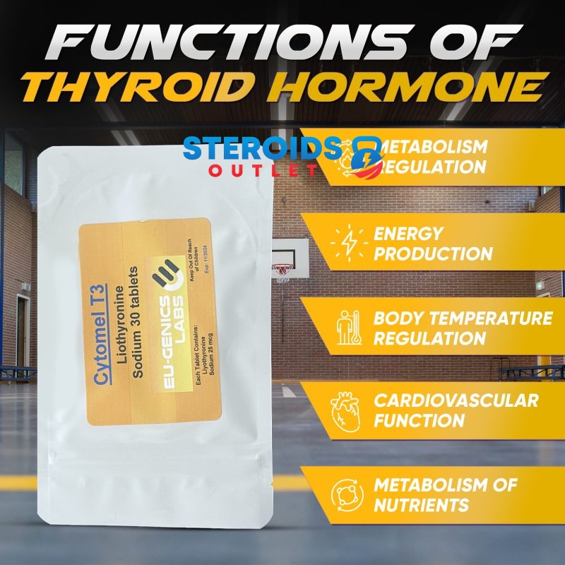 Compre T3 Cytomel 10 Cytomel2