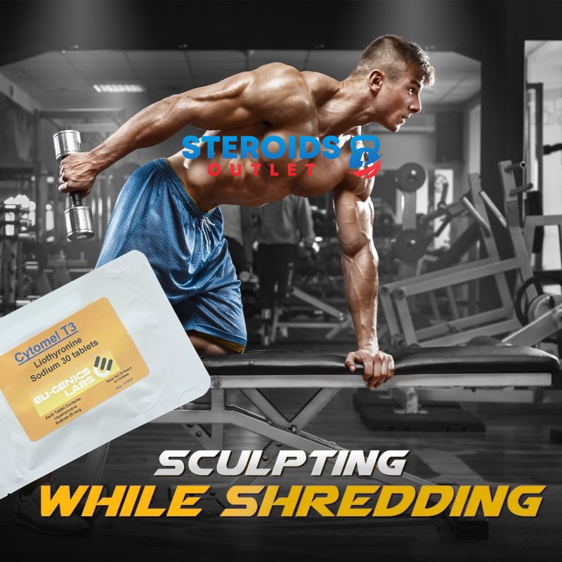 Compre T3 Cytomel 13 Citomel5